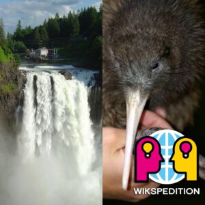 Mehr über den Artikel erfahren S01E42 – Kavernenkraftwerk, Kiwis