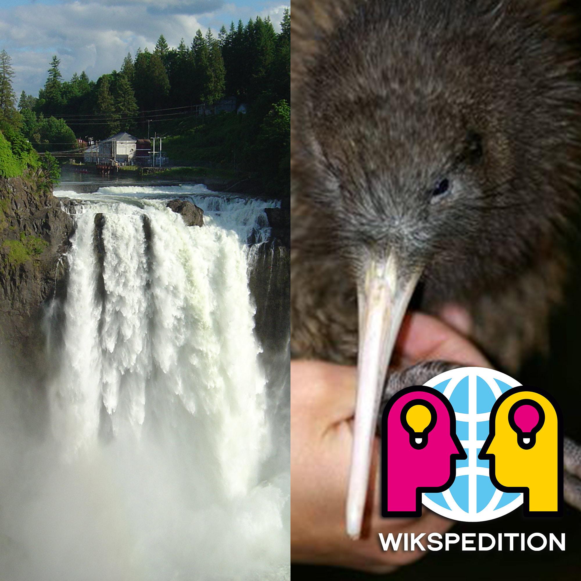 Du betrachtest gerade S01E42 – Kavernenkraftwerk, Kiwis