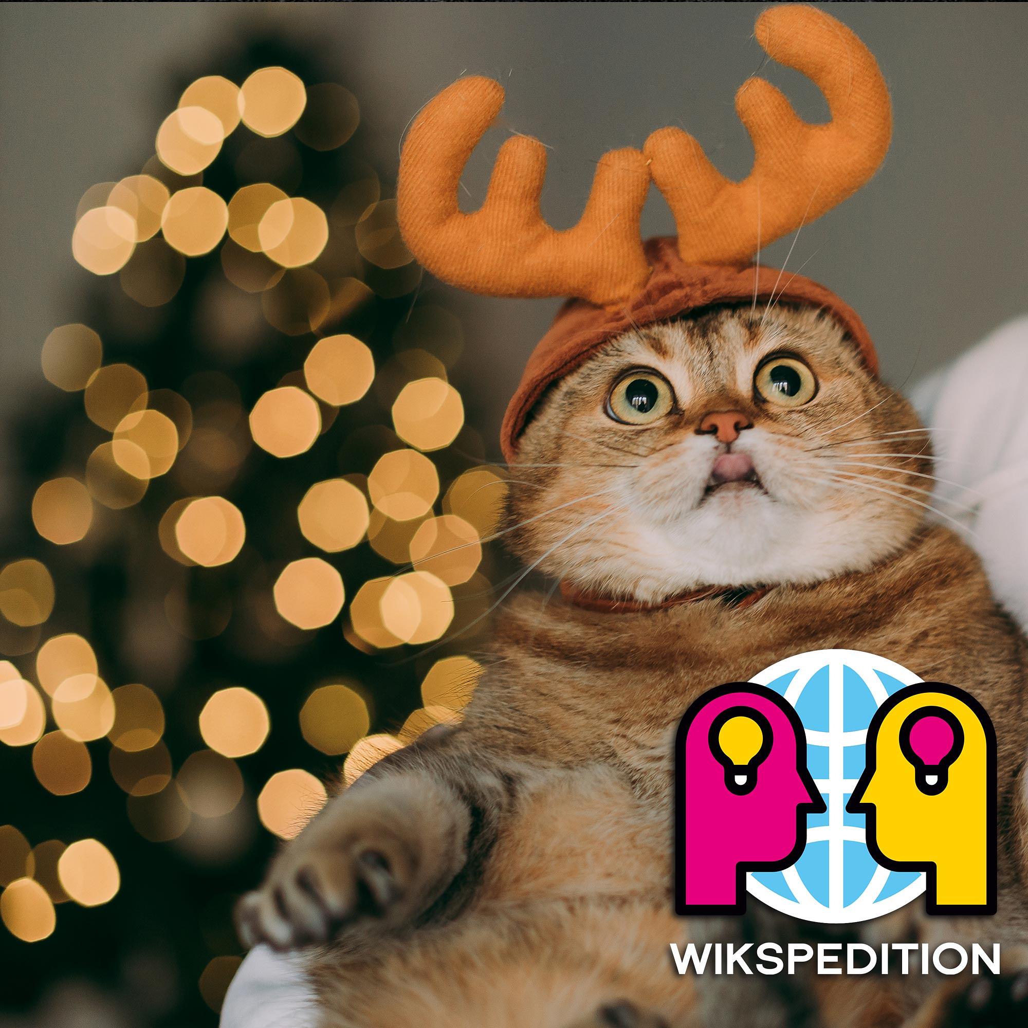Du betrachtest gerade S01SP06 – Die kleine Weihnachts-Wikspedition