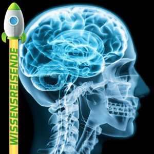 Mehr über den Artikel erfahren WR002 – Was passiert, wenn man seinen Kopf in einen Teilchenbeschleuniger hält?