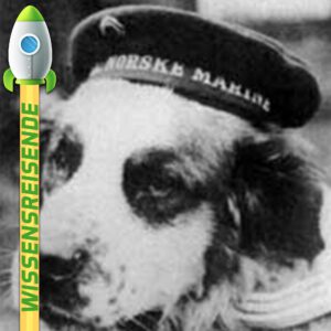 Mehr über den Artikel erfahren WR025 – Schiffshund Bamse: Ein Held auf vier Pfoten