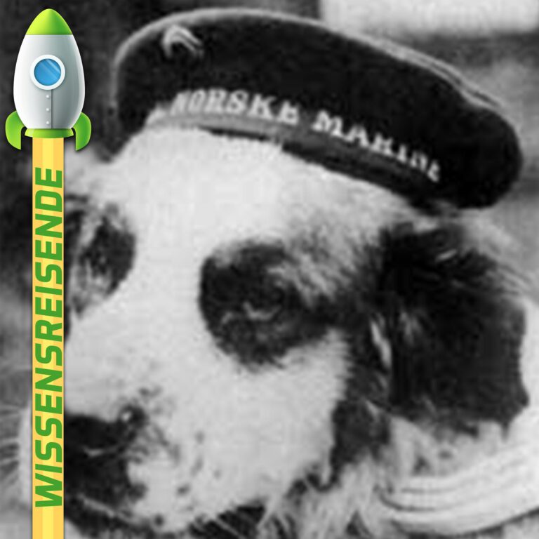 Mehr über den Artikel erfahren WR025 – Schiffshund Bamse: Ein Held auf vier Pfoten