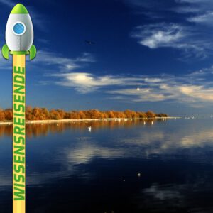 Mehr über den Artikel erfahren WR033 – Die große Salton Katastrophe