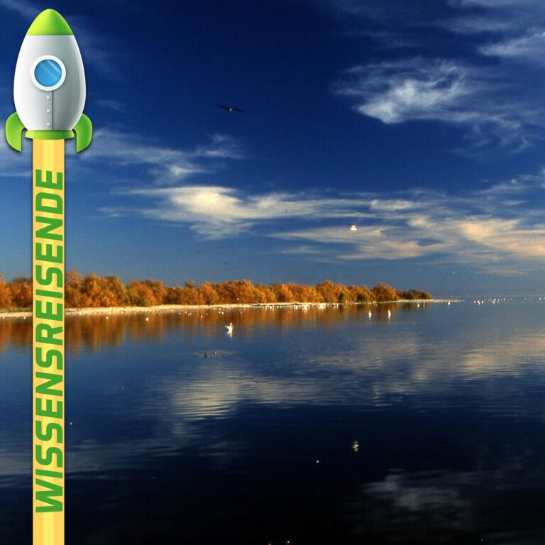 Mehr über den Artikel erfahren WR033 – Die große Salton Katastrophe