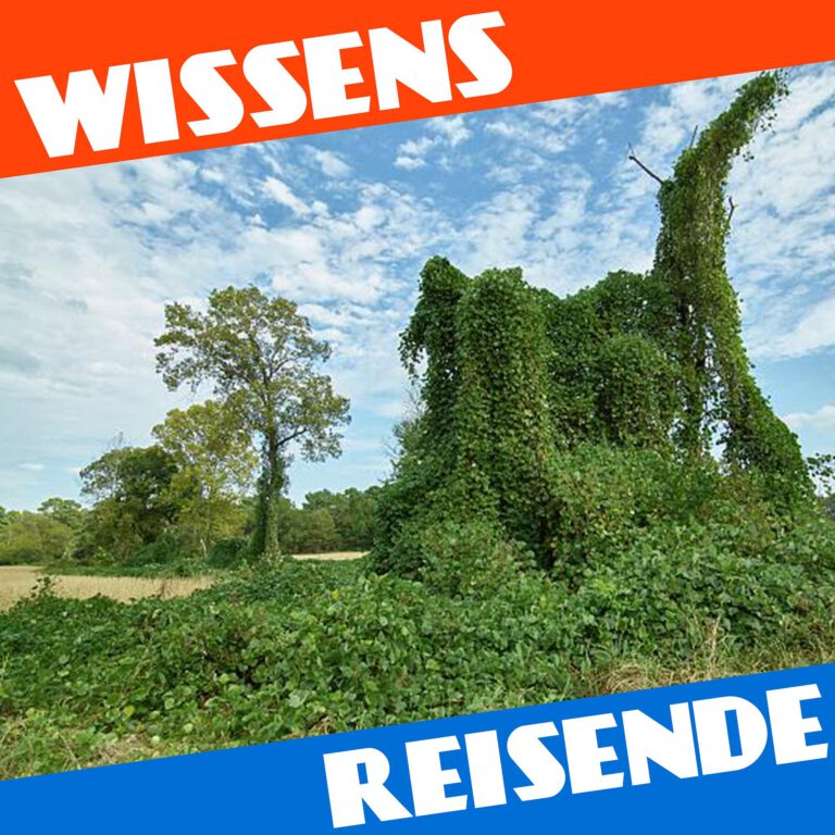 Mehr über den Artikel erfahren WR153 – Die unbesiegbare Pflanze die den Süden fraß: Kudzu