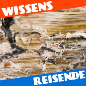 Mehr über den Artikel erfahren WR161 – Tödliches Wundermaterial: Eine kleine Geschichte des Asbests