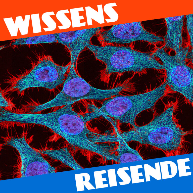 Mehr über den Artikel erfahren WR173 – Die Geschichte der unsterblichen Henrietta Lacks