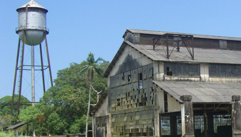 WR210 – Fordlandia und das Schweigen der Kautschukbäume